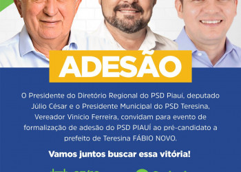 PSD anuncia nesta quarta-feira (27) apoio à pré-candidatura de Fábio Novo