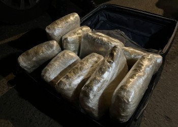 Polícia apreende 10 kg de droga avaliados em R$ 400 mil em ônibus de viagem