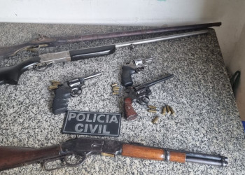 Policial civil aposentado é preso por comércio ilegal de arma de fogo