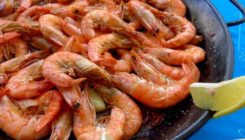 Piauí é o sexto maior produtor de camarões do Brasil