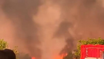 Incêndio às margens da BR-343 assusta motoristas no Norte do Piauí; vídeo