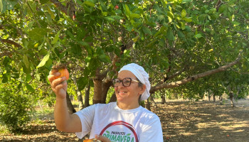Produtora rural do Piauí usa o suco de caju para fazer mel gourmet e conquista mercado