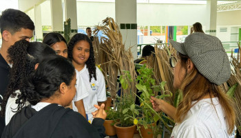 Jardim Sensorial encanta visitantes durante Caravana TJPI em São Raimundo Nonato