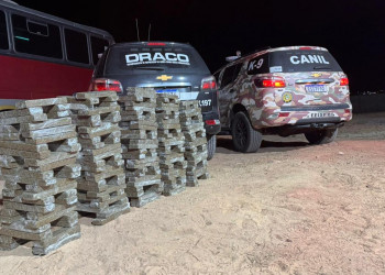 Carga de super maconha avaliada em R$ 2 milhões é apreendida em ônibus de turismo no PI