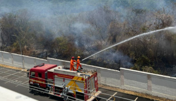 Incêndio em mata ao lado de condomínio em Teresina provoca pânico entre moradores