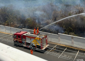 Incêndio em mata ao lado de condomínio em Teresina provoca pânico entre moradores