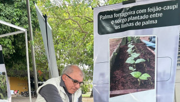 Moto adaptada e plantas do semiárido, soluções acessíveis que transformam a vida no campo