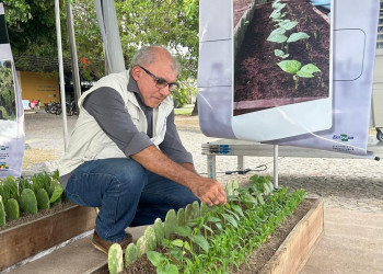 Moto adaptada e plantas do semiárido, soluções acessíveis que transformam a vida no campo