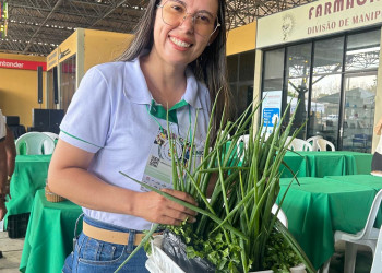 Cooperativas ajudam agricultores familiares do Piauí a negociar e aumentar a renda