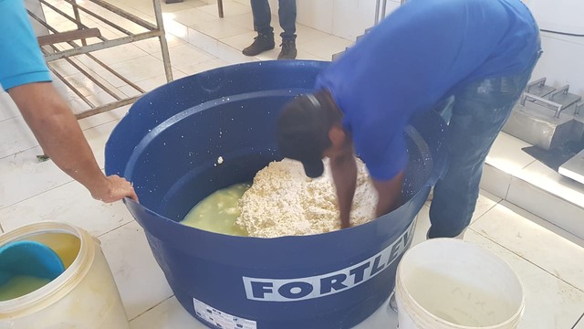 Fábrica é multada em R$ 20 mil no Norte do Piauí por produzir queijo em manilhas e baldes