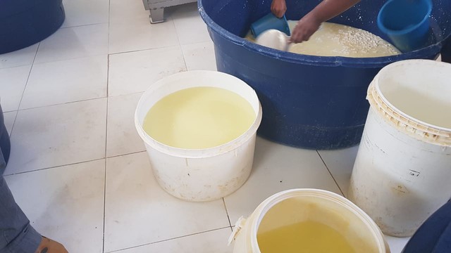 Fábrica é multada em R$ 20 mil no Norte do Piauí por produzir queijo em manilhas e baldes