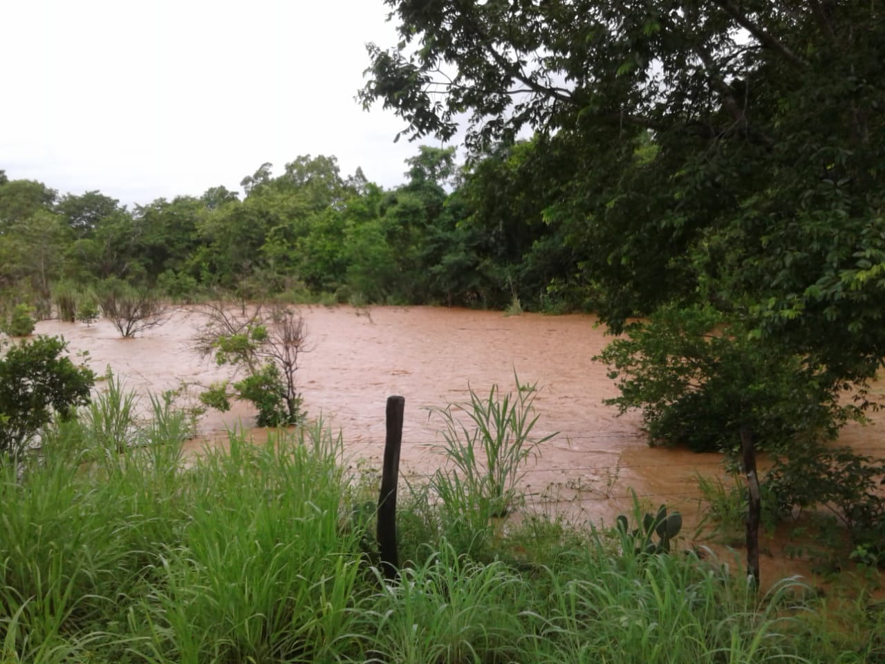 Impactos ambientais causados pelo rompimentos das bacias no entorno do Parque Solar de São Gonçalo