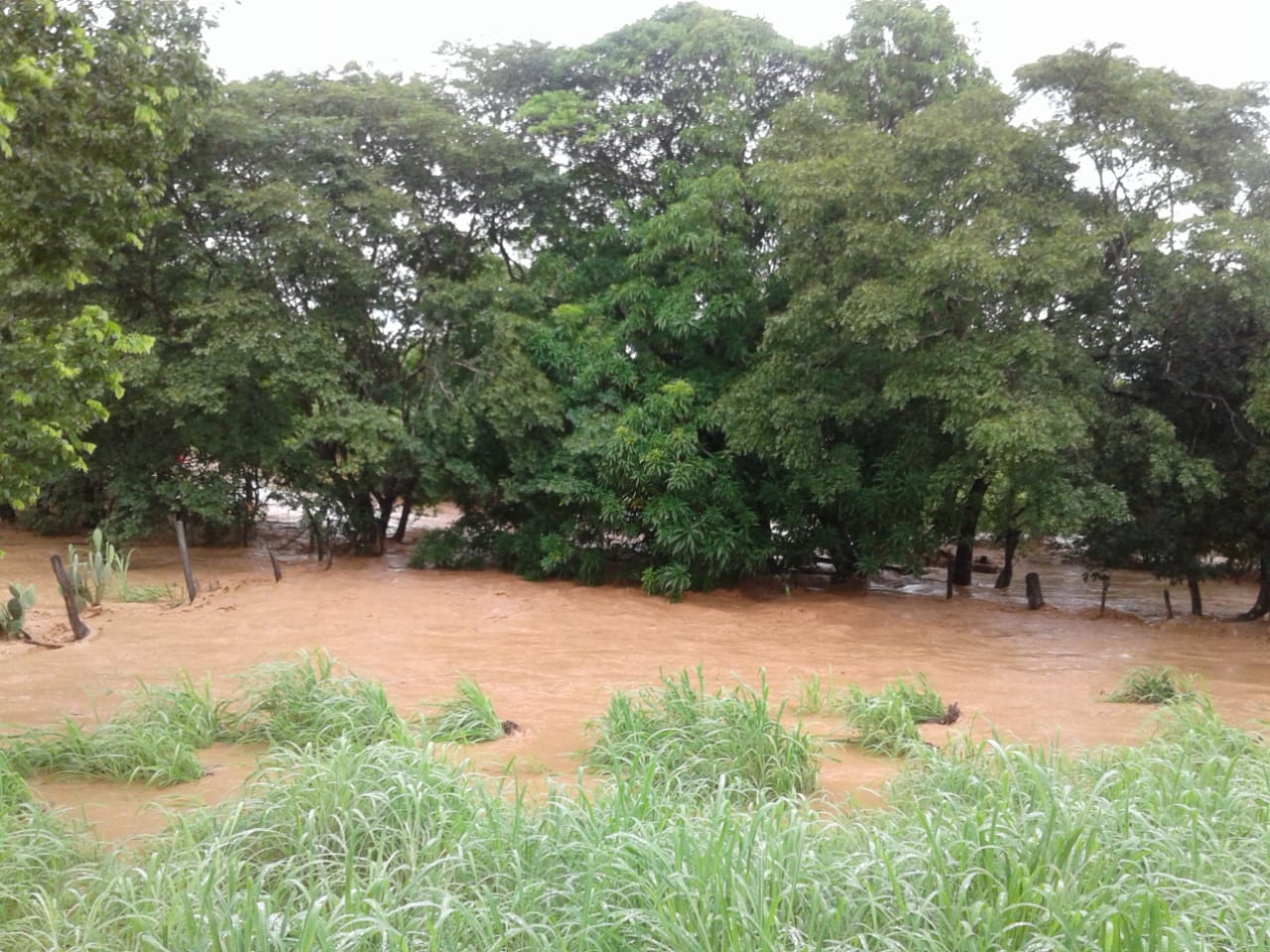 Impactos ambientais causados pelo rompimentos das bacias no entorno do Parque Solar de São Gonçalo