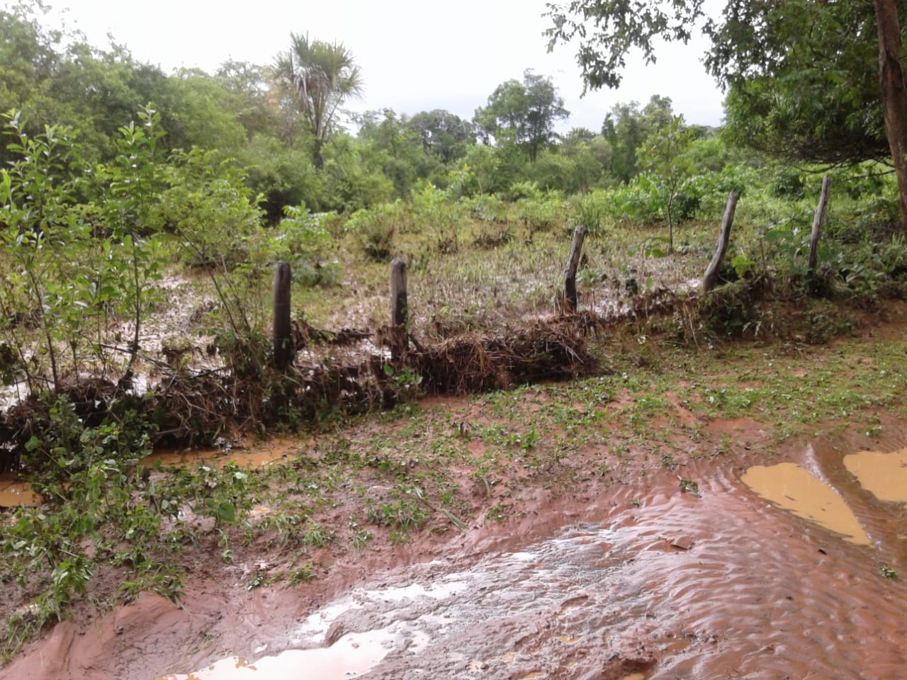 Impactos ambientais causados pelo rompimentos das bacias no entorno do Parque Solar de São Gonçalo