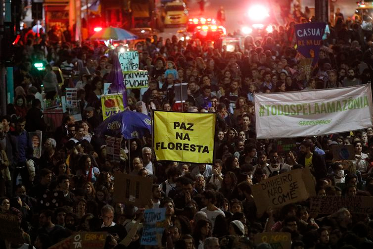 Rio de Janeiro - Manifestação em defesa da Amazônia e em protesto conrta queimadas na floresta, no centro da cidade. (Fernando Frazão/Agência Brasil)