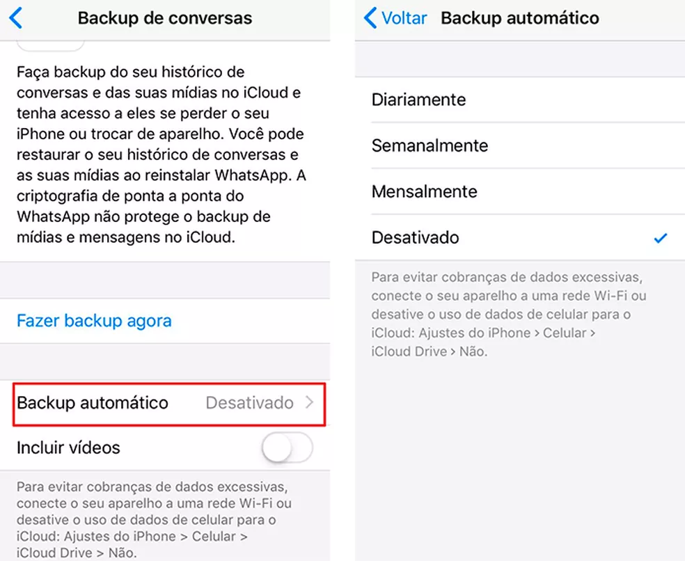Ative o backup automático para nunca perder conversas importantes — Foto: Reprodução/Luana Antunes