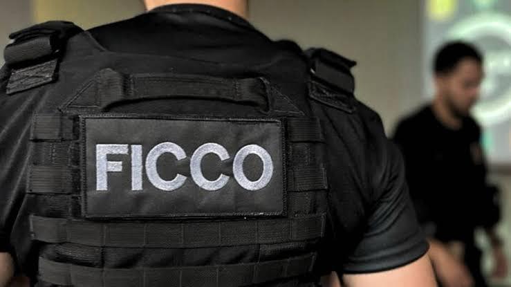 Agente da Força Integrada de Combate ao Crime Organizado no Piauí (FICCO)