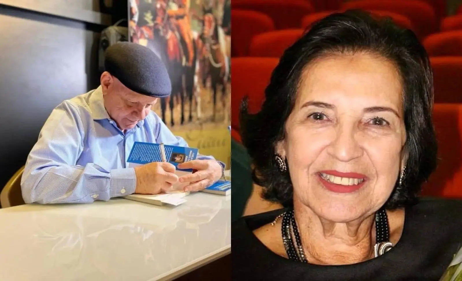 Cecília Mendes e Marcelino Barroso são eleitos imortais da Academia Piauiense de Letras