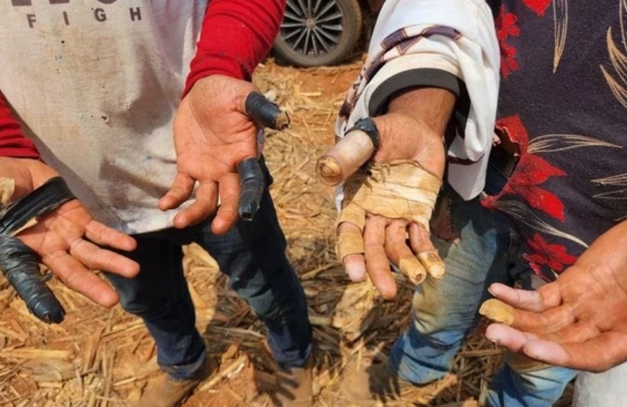 As mãos mostram o sofrimento dos trabalhadores escravizados