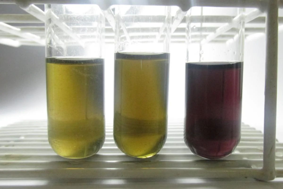Kit desenvolvido pela Unesp identifica metanol em bebidas e combustíveis em apenas 15 minutos e com custo de R$ 10