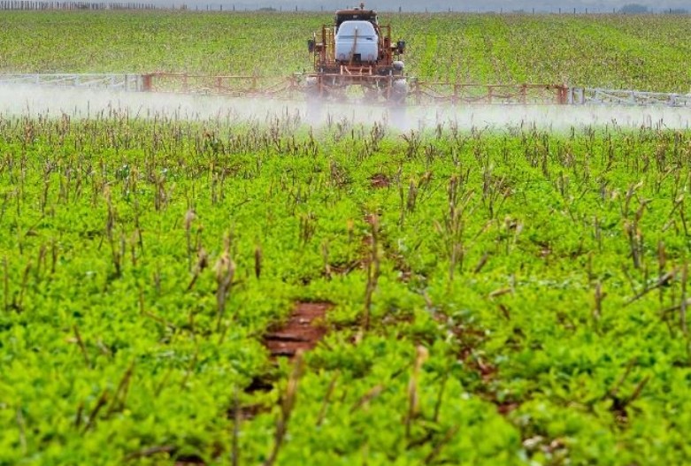 O agronegócio brasileiro é o campeão do veneno