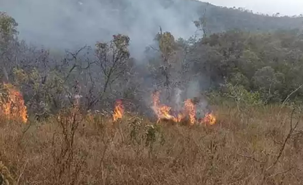 O fogo no mato seco se espalhou rapidamente