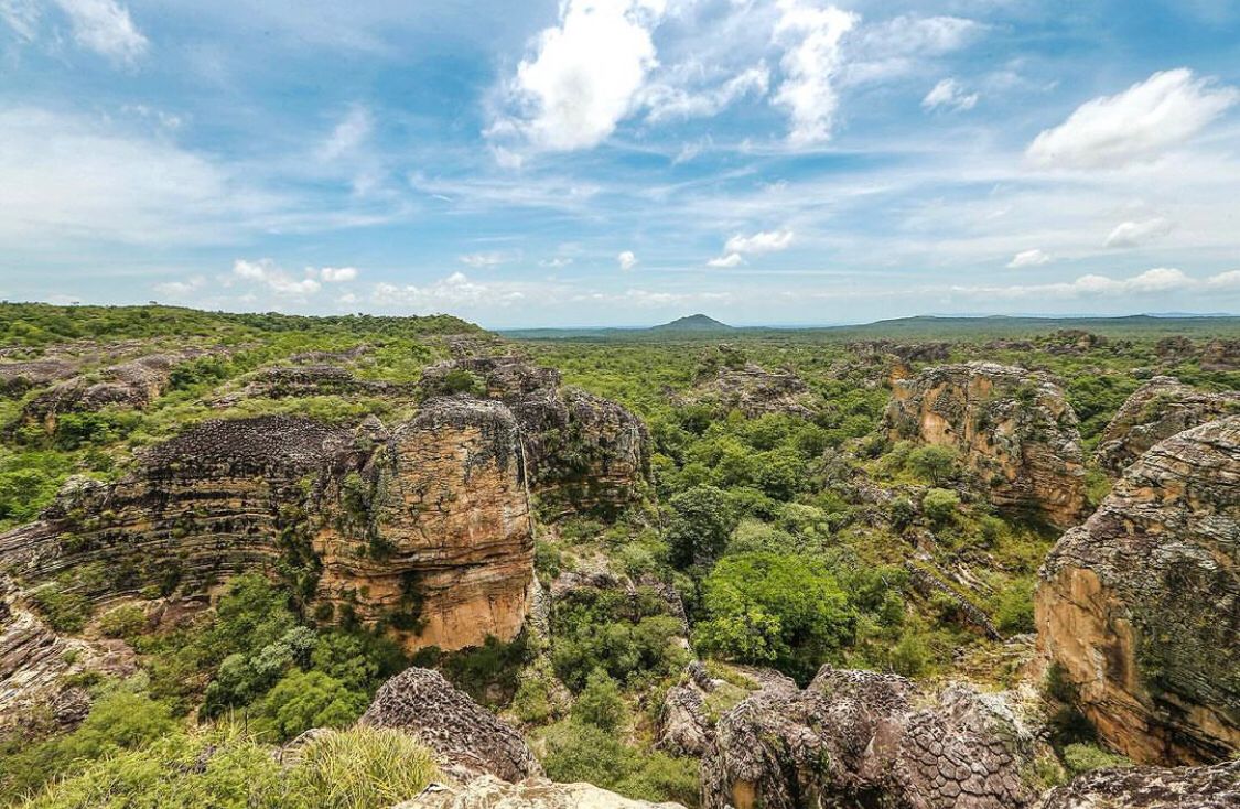 Governo do Piauí reforça o enfrentamento às mudanças climáticas e para o desenvolvimento sustentável