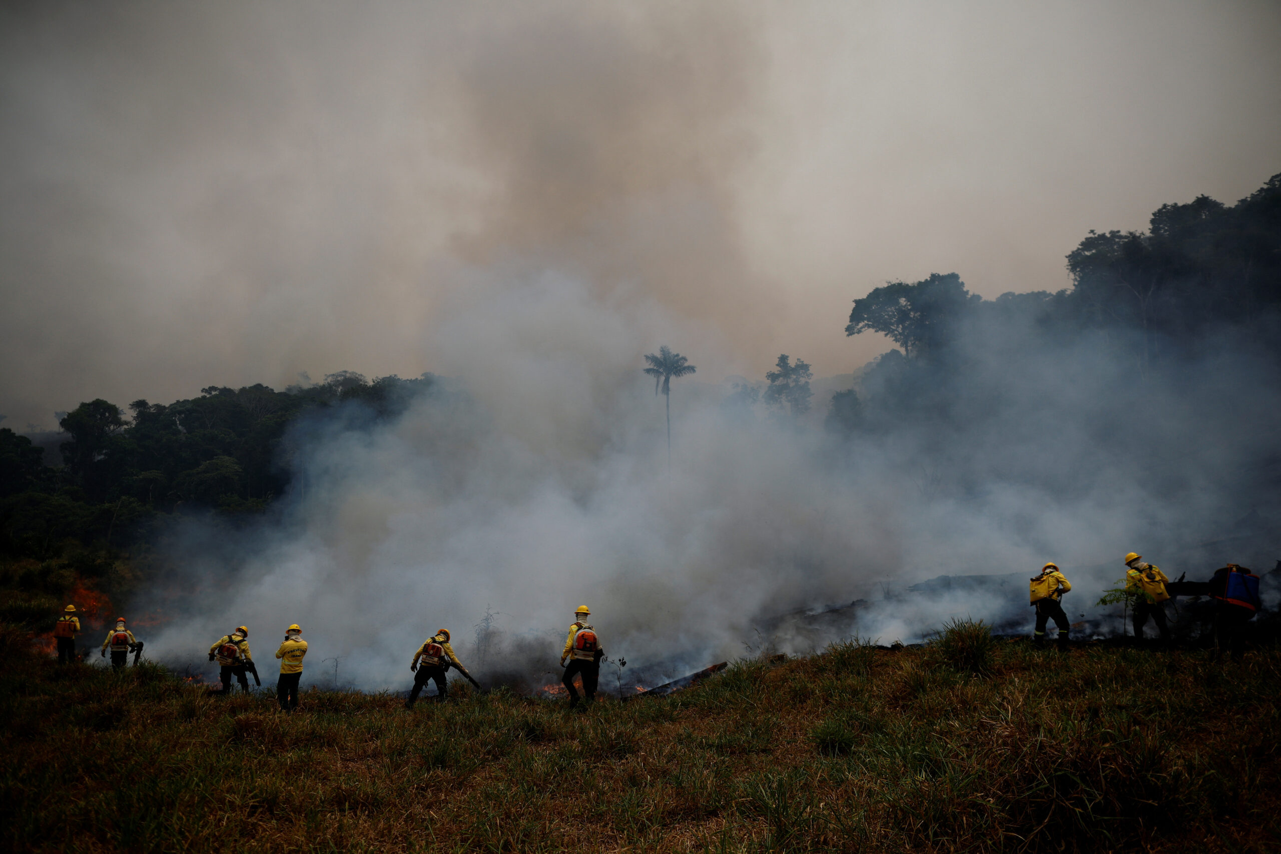 Brigadistas do IBAMA combatem fogo no Apuí, no Amazonas
