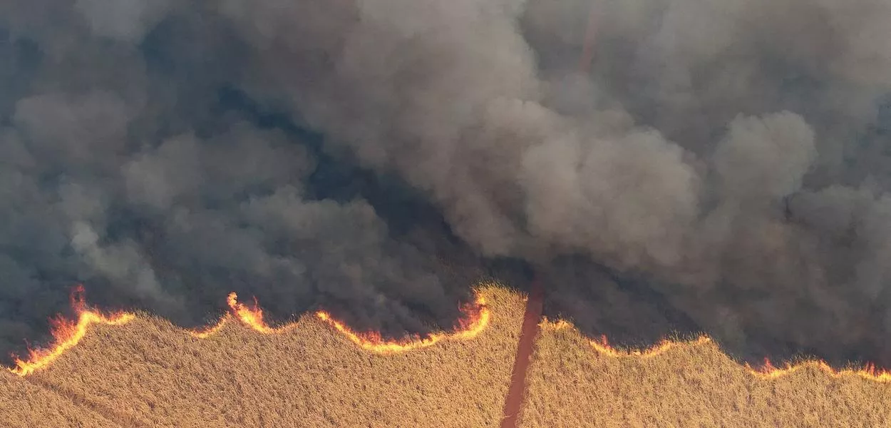 Incêndio em canavial de SP, 24/08/2024