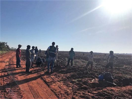 Trabalhadores piauienses são resgatados em condições análogas à de escravo no Mato Grosso do Sul