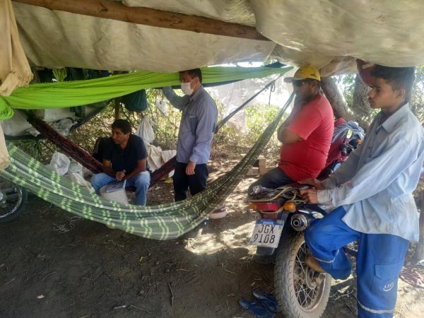 Trabalhadores são resgatados em situação de trabalho escravo em Currais e Palmeira