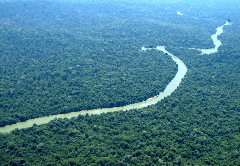 Fundo Florestas Tropicais para Sempre (TFFF, já conta com US$ 5 bilhões em contribuições