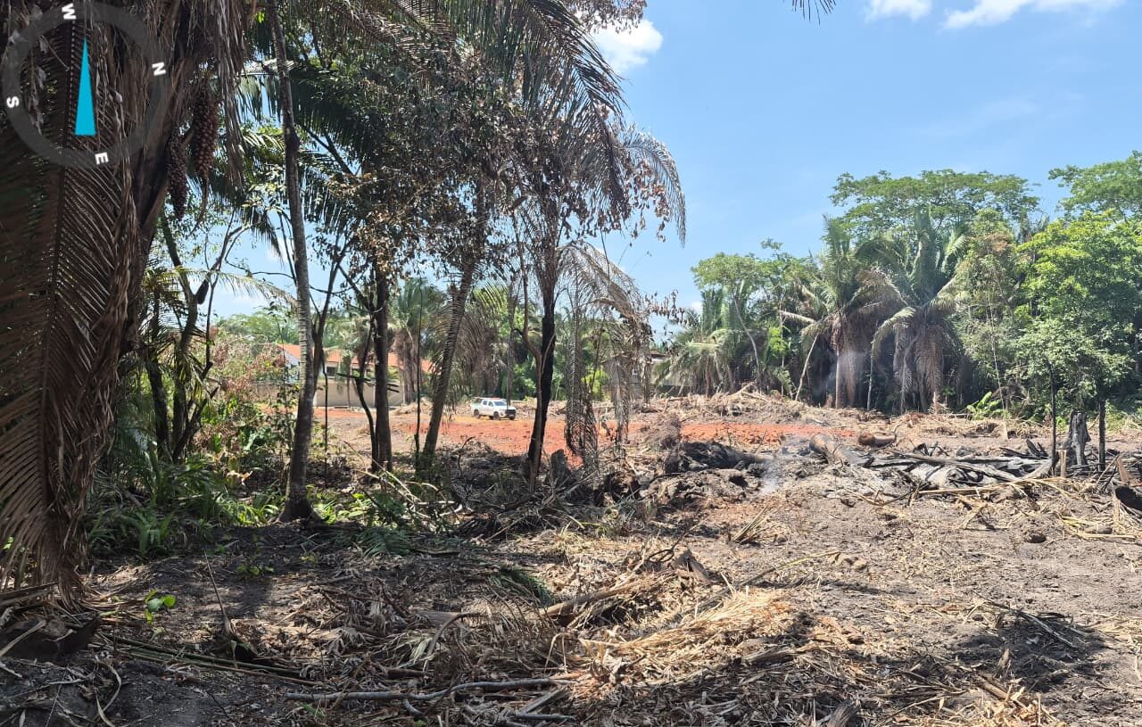 Desmatamento recanto das palmeiras