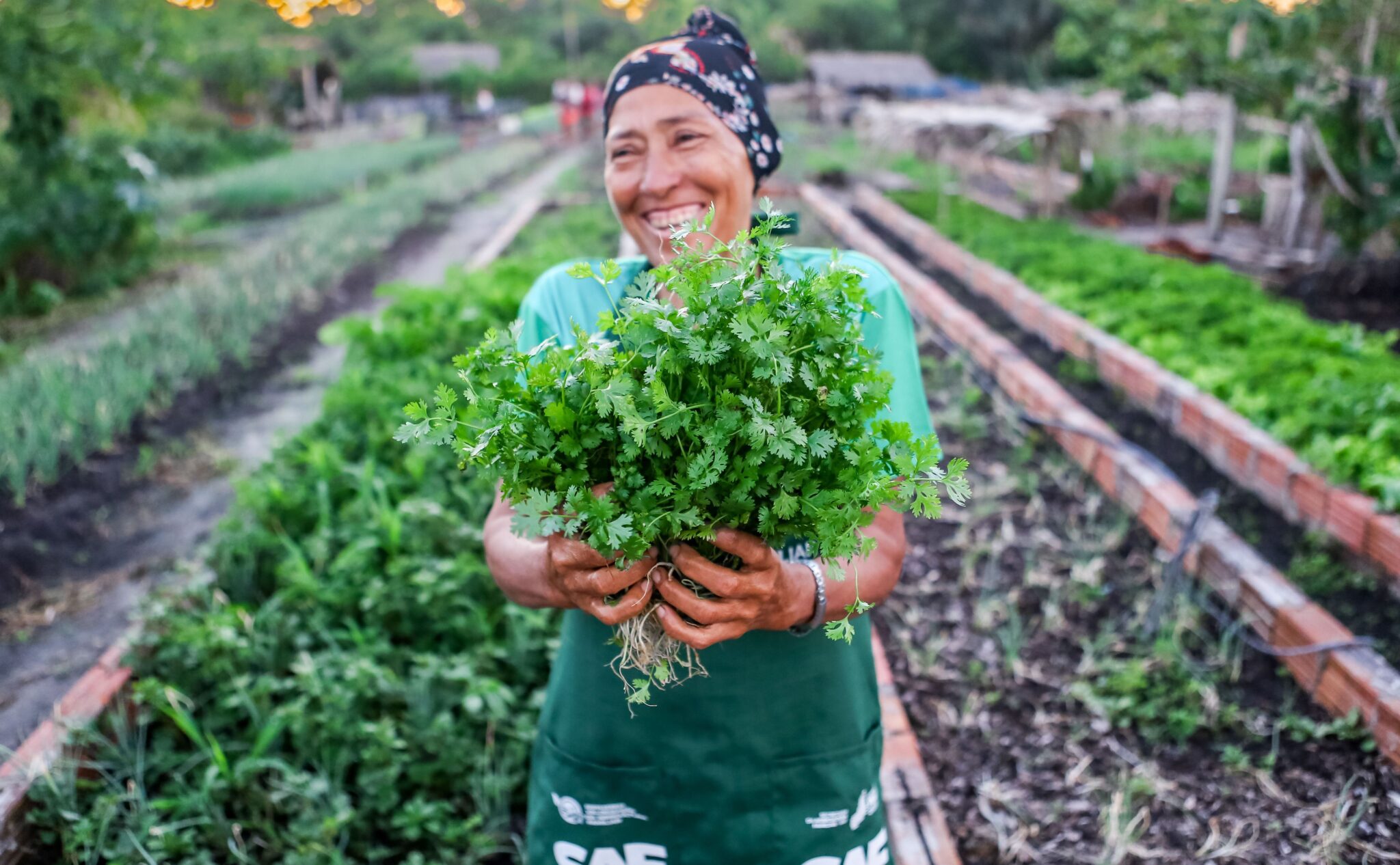 Sem os auxílios governamentais, a taxa de extrema pobreza no estado seria quatro vezes maior em 2024