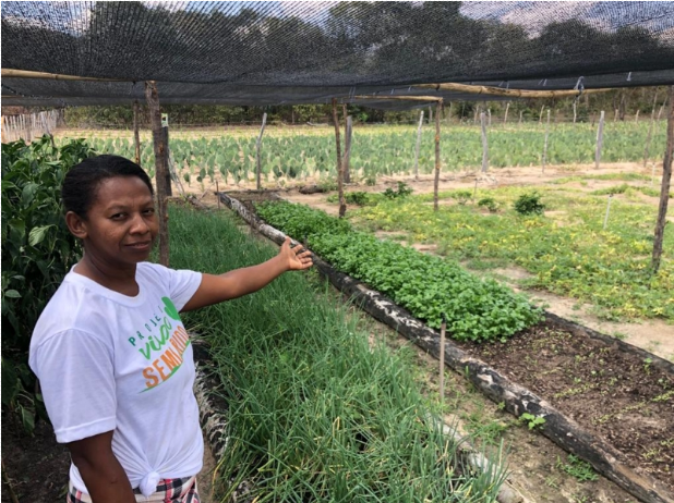 Agricultora mostra resultado da horta no interior do Piauí