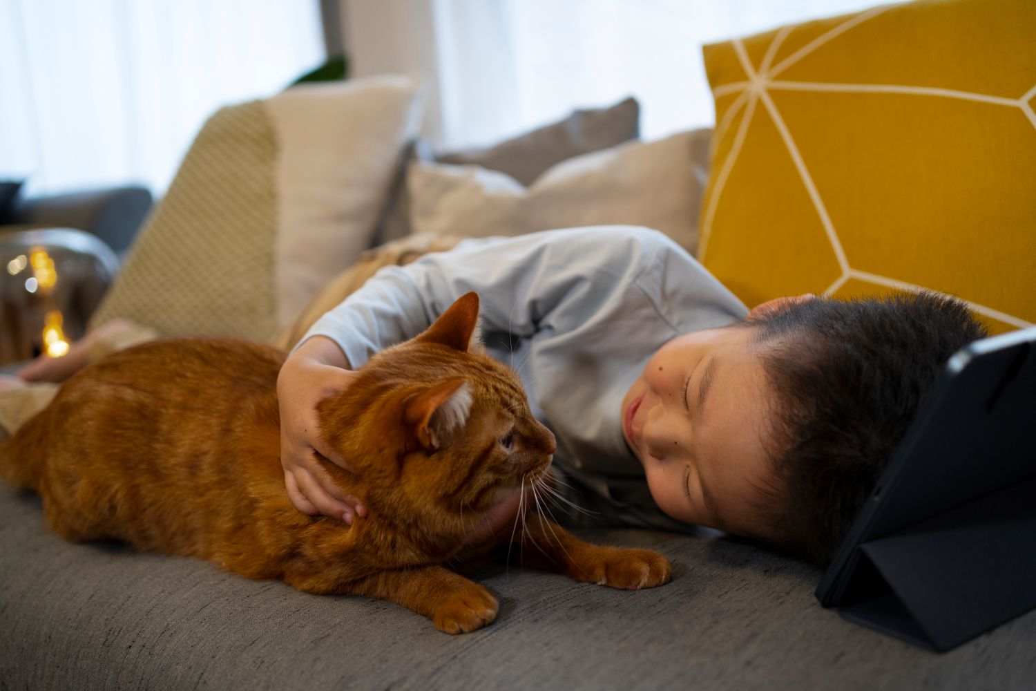 Animais de estimação em apartamentos exigem cuidados especiais