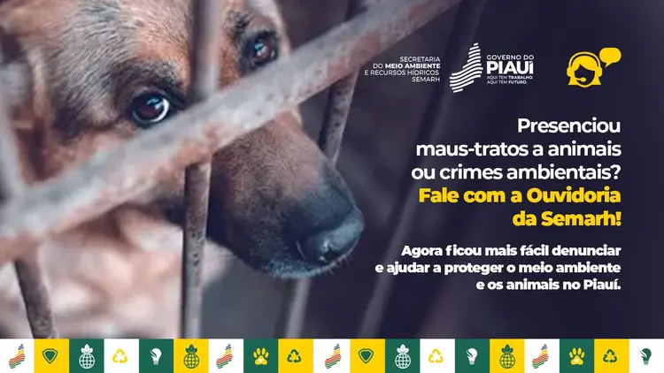 Semarh disponibiliza o número (86) 98112-9958 para denúncias de maus-tratos