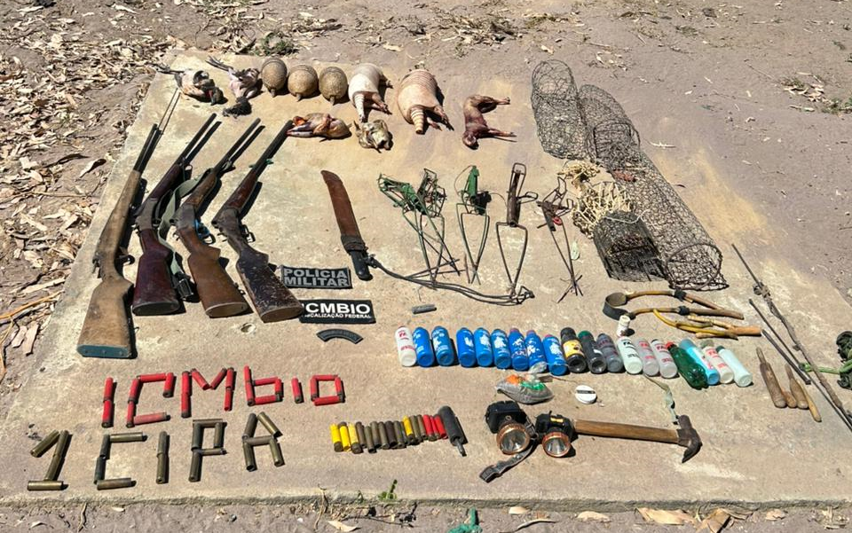armas e animais ameaçados de extinção abatidos são encontrados