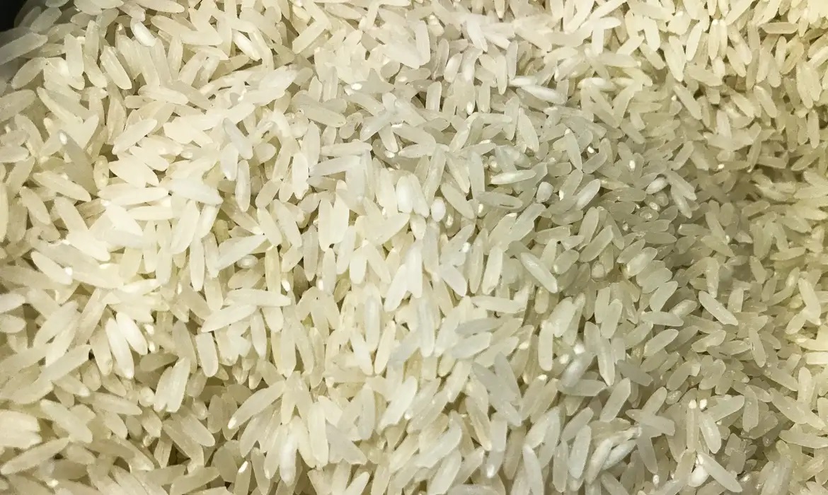 Distribuição de arroz