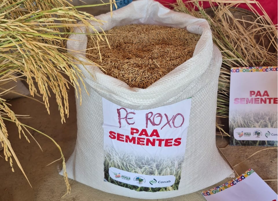 arroz