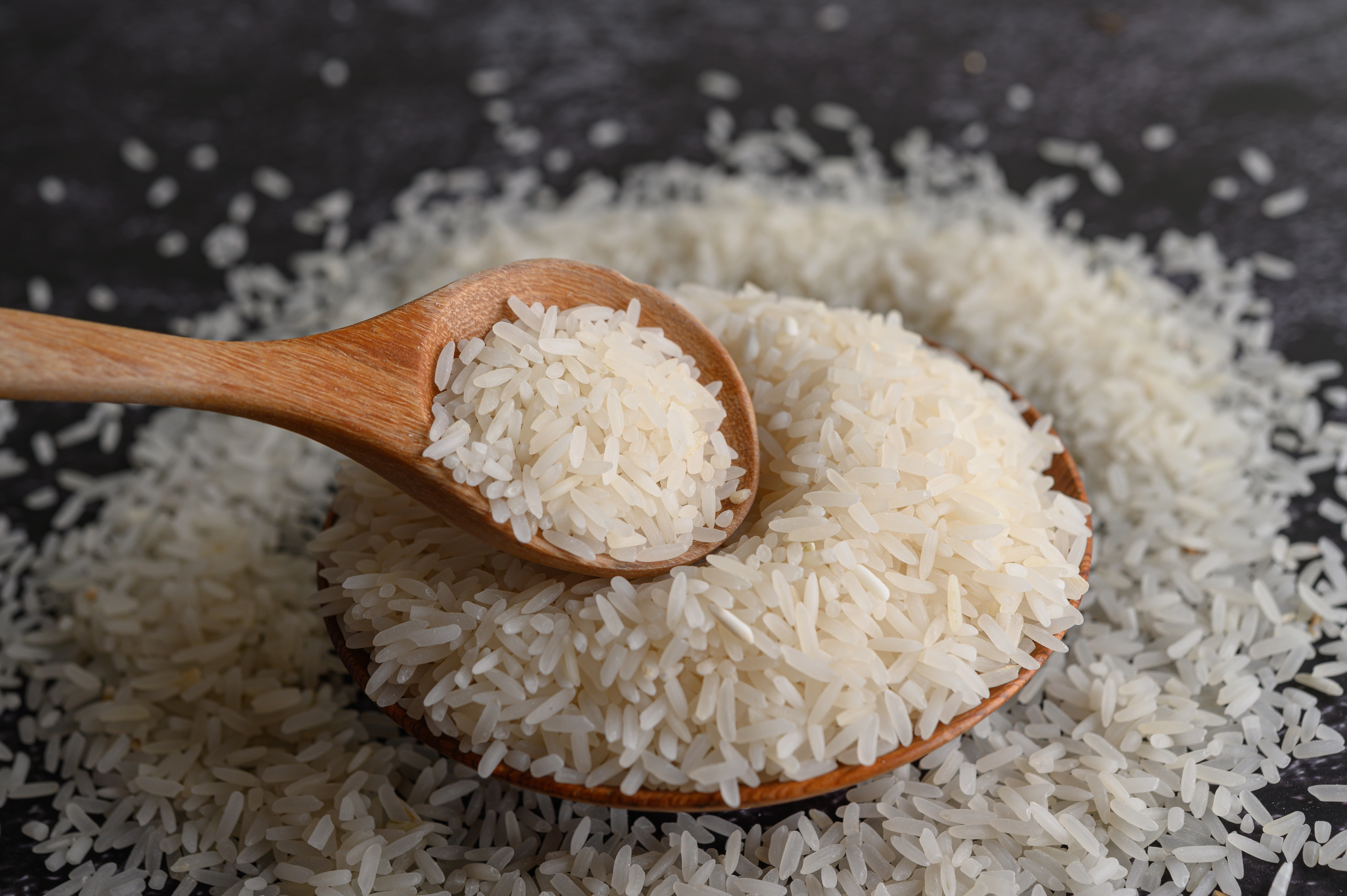 Piauí amplia cultivo de arroz