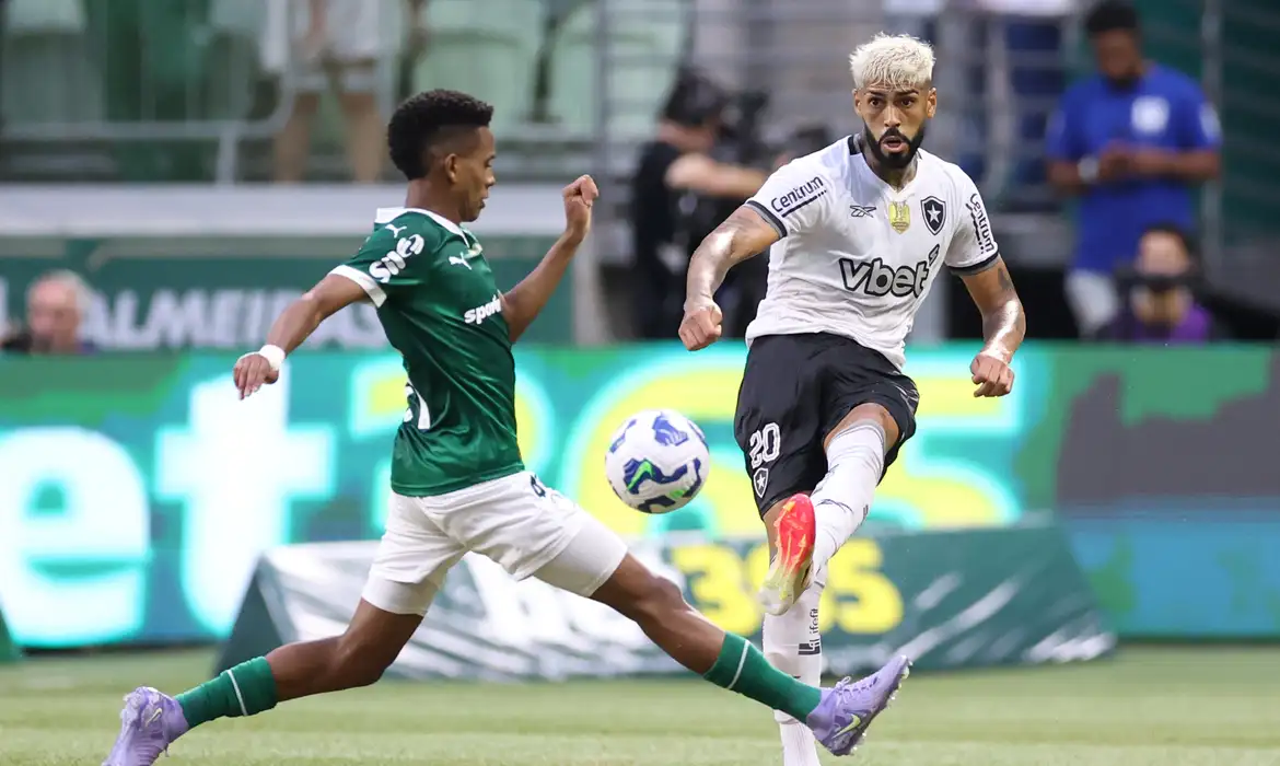 Bota Fogo e Palmeiras