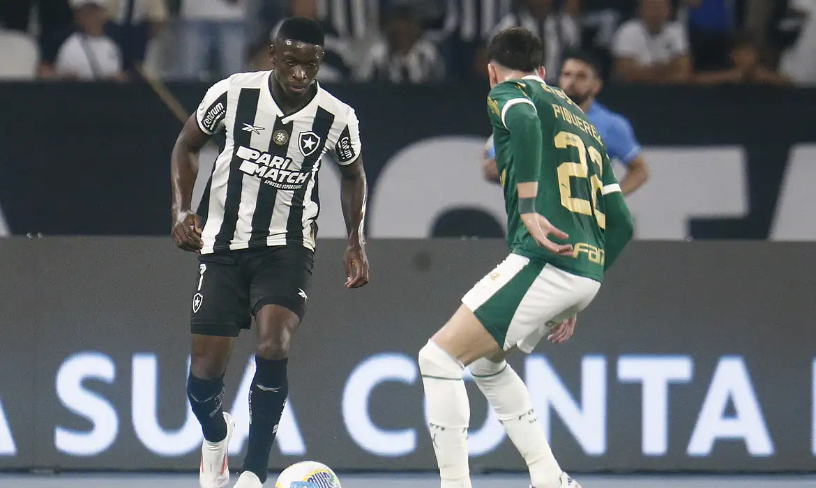 Botafogo recebe Palmeiras no primeiro jogo das oitavas da Libertadores