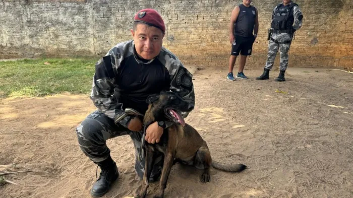 Teresina vai receber a 1ª Cãorrida