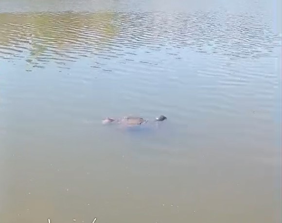 Pescador foi encontrado no mesmo local onde teria desaparecido