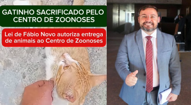 Protetor acusa Fábio Novo de apresentar lei que autoriza entrega de animais ao Centro de Zoonoses