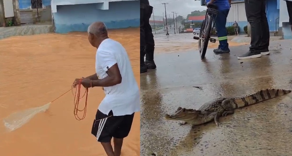 Vídeo foi publicado no Instagram @saibatudoteresina