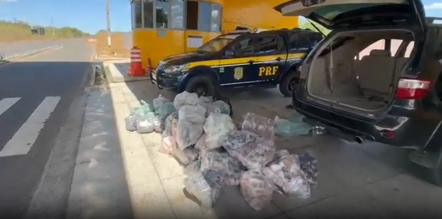 Mercadorias avaliadas em R$ 94 mil estavam em carro de passeio sem documentação fiscal