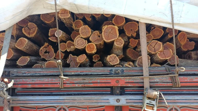 PRF apreendeu carga de madeira nativa transportada de forma irregular em Picos
