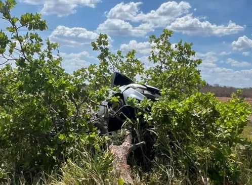 O carro ficou preso na árvore